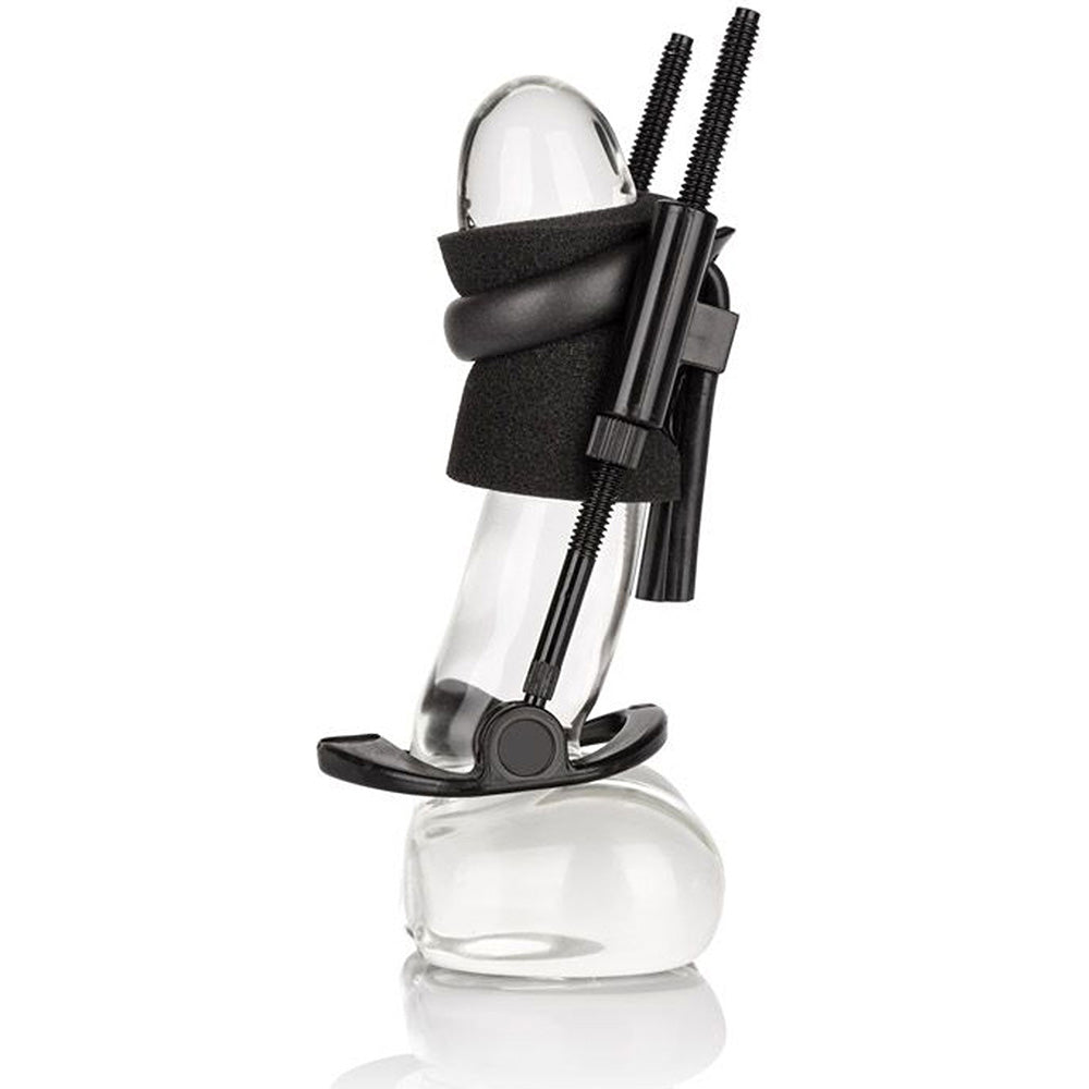 Penis Extender Calex