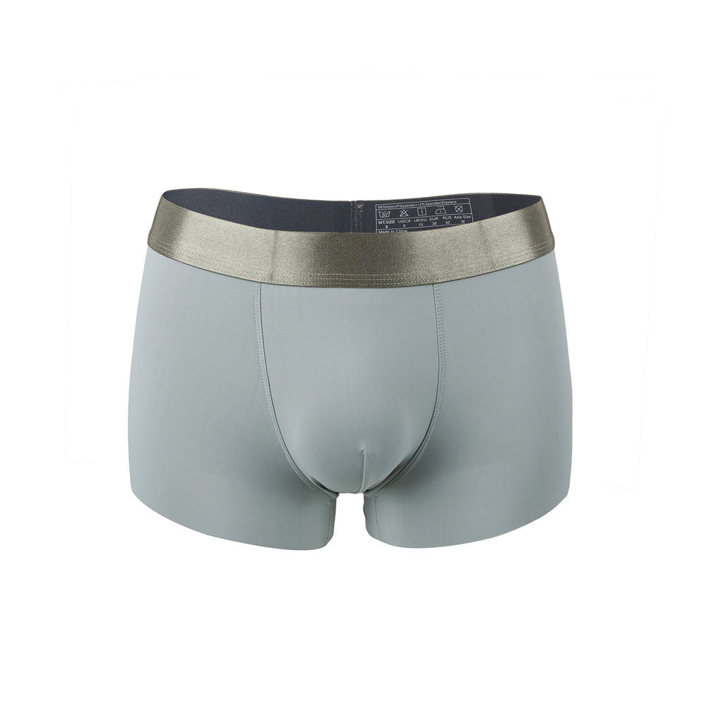 Boxer gris homme face