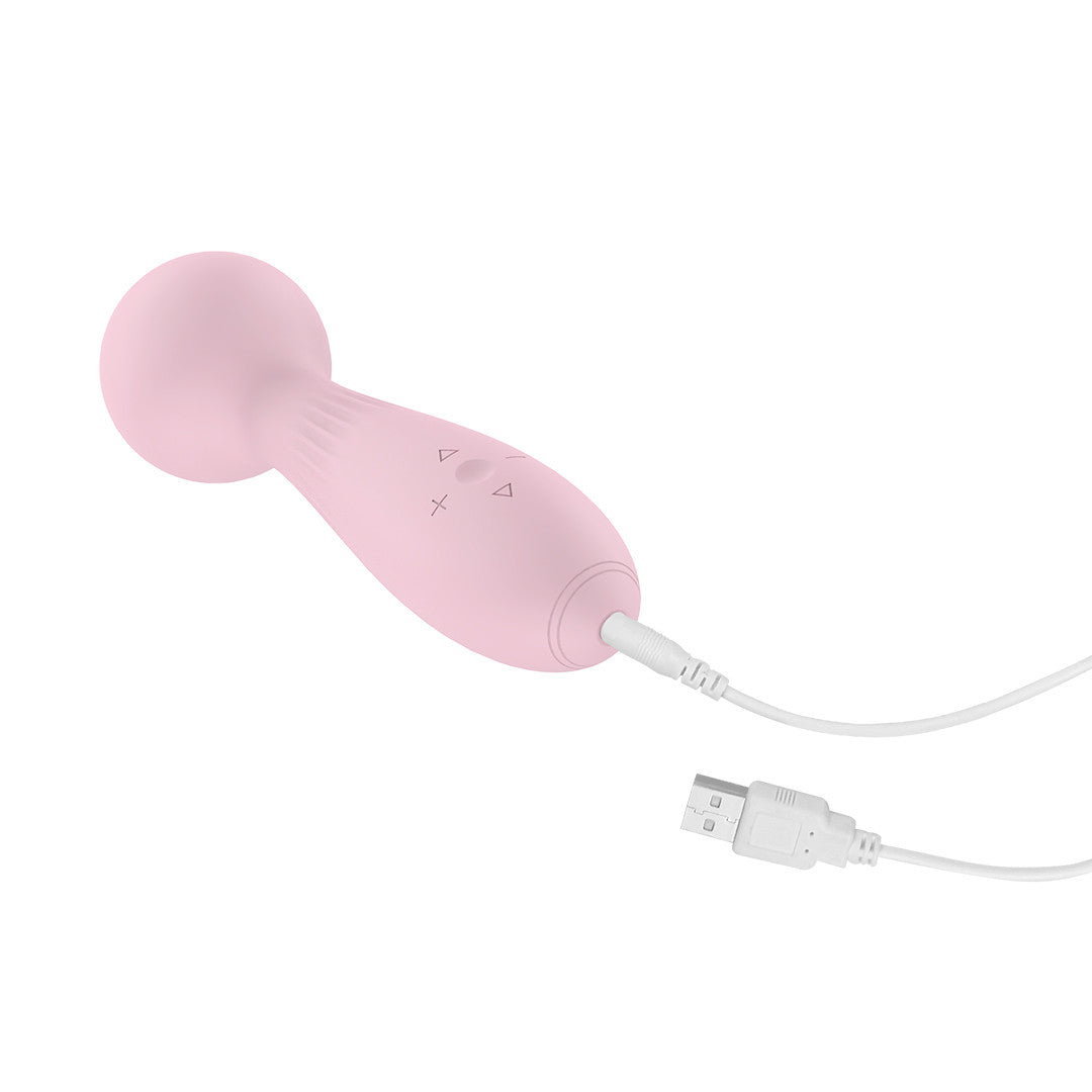 Stimulateur Clitoridien Wand Raison