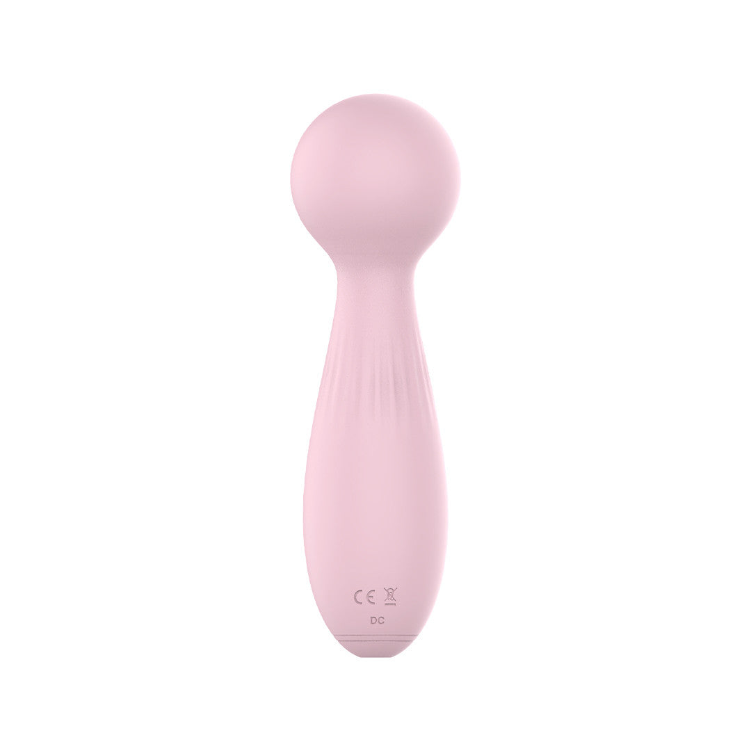 Stimulateur Clitoridien Wand Raison