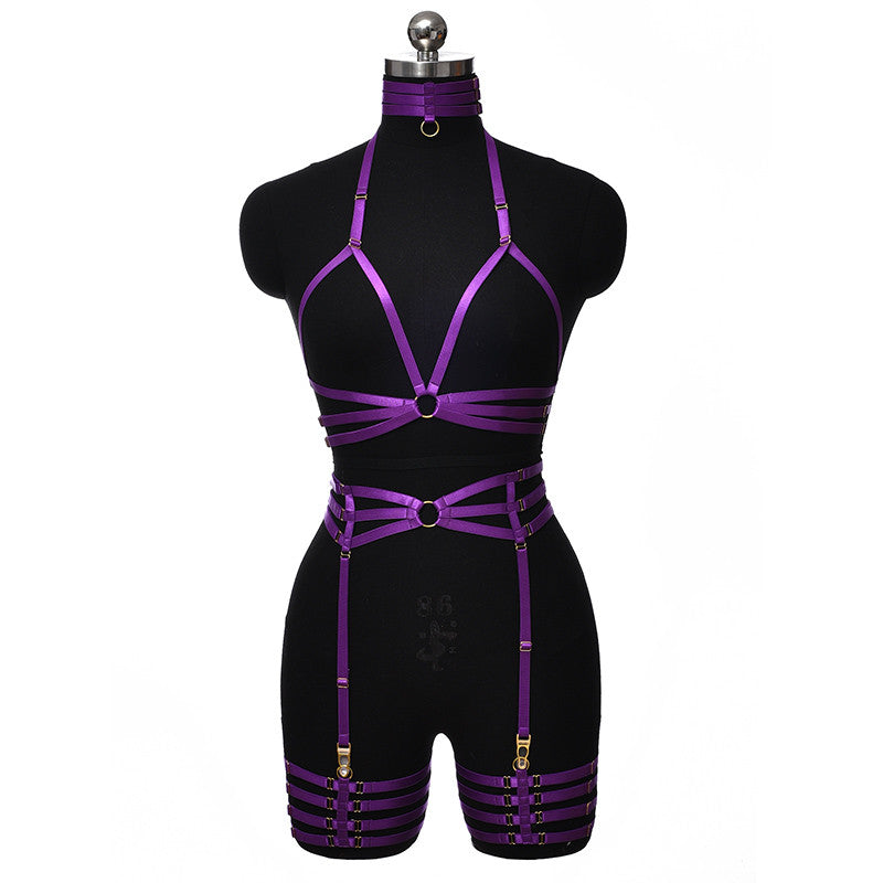 Set Harnais Brillant Complet Violet