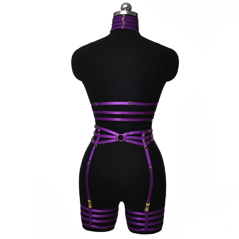 Set Harnais Brillant Complet Violet