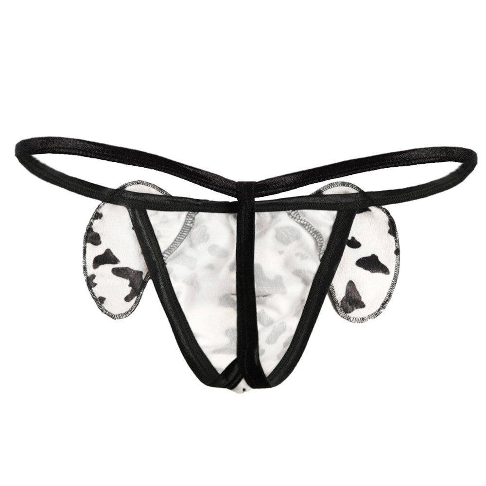 String Fantaisie Dalmatien