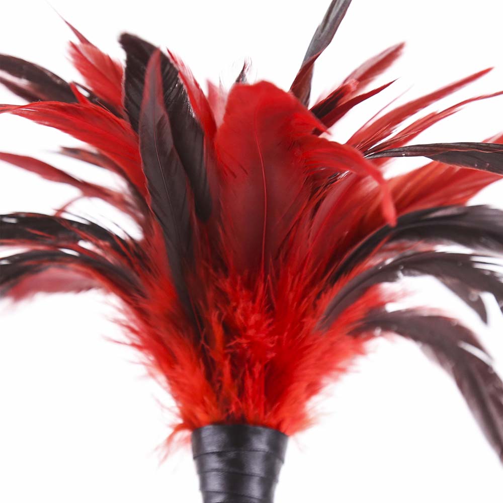 Be Bondage Plumeau Bicolore à Caresses Sensuelles 35 cm Rouge et Noir Zoom sur Plumes