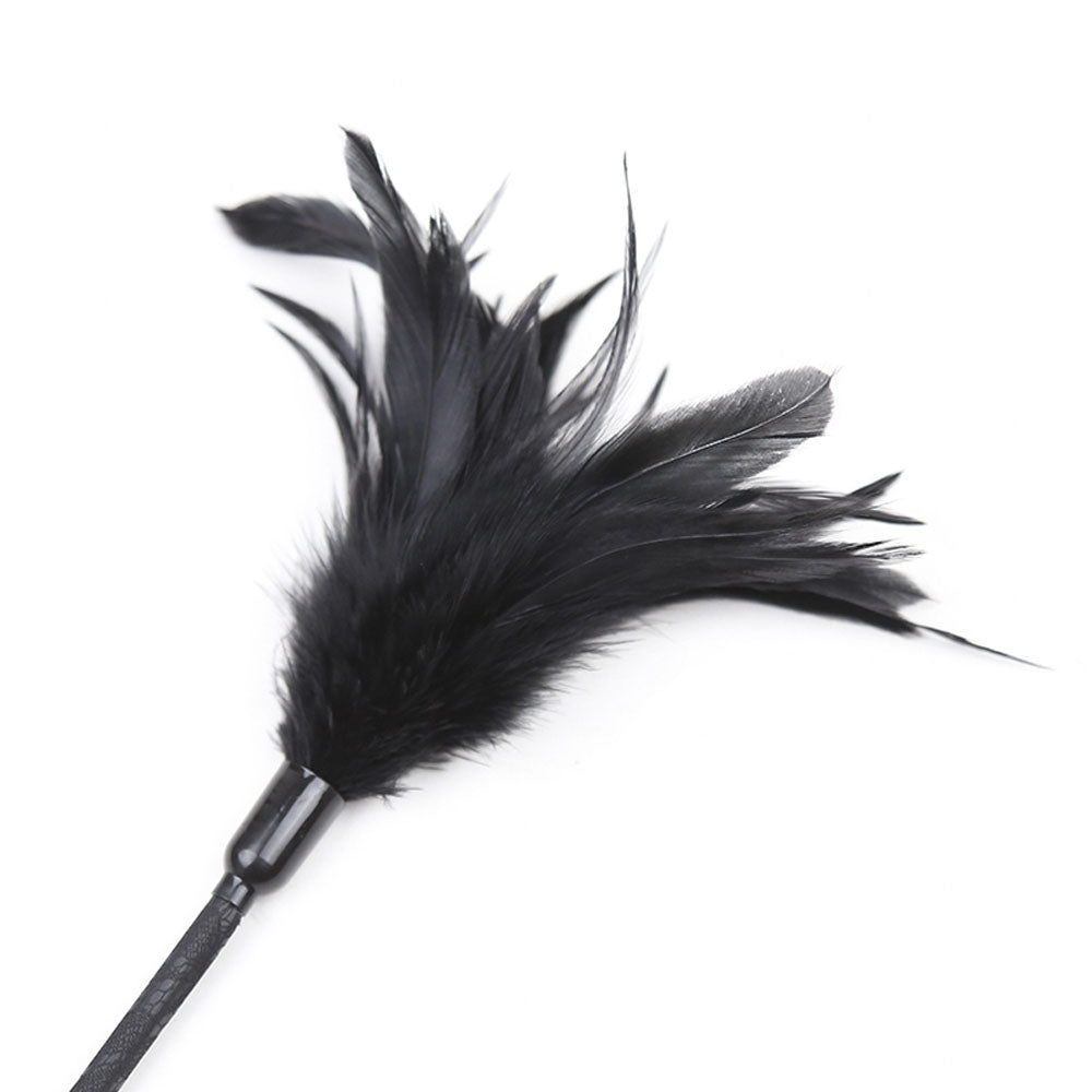 Plumeau Cravache Dentelle et Lacet