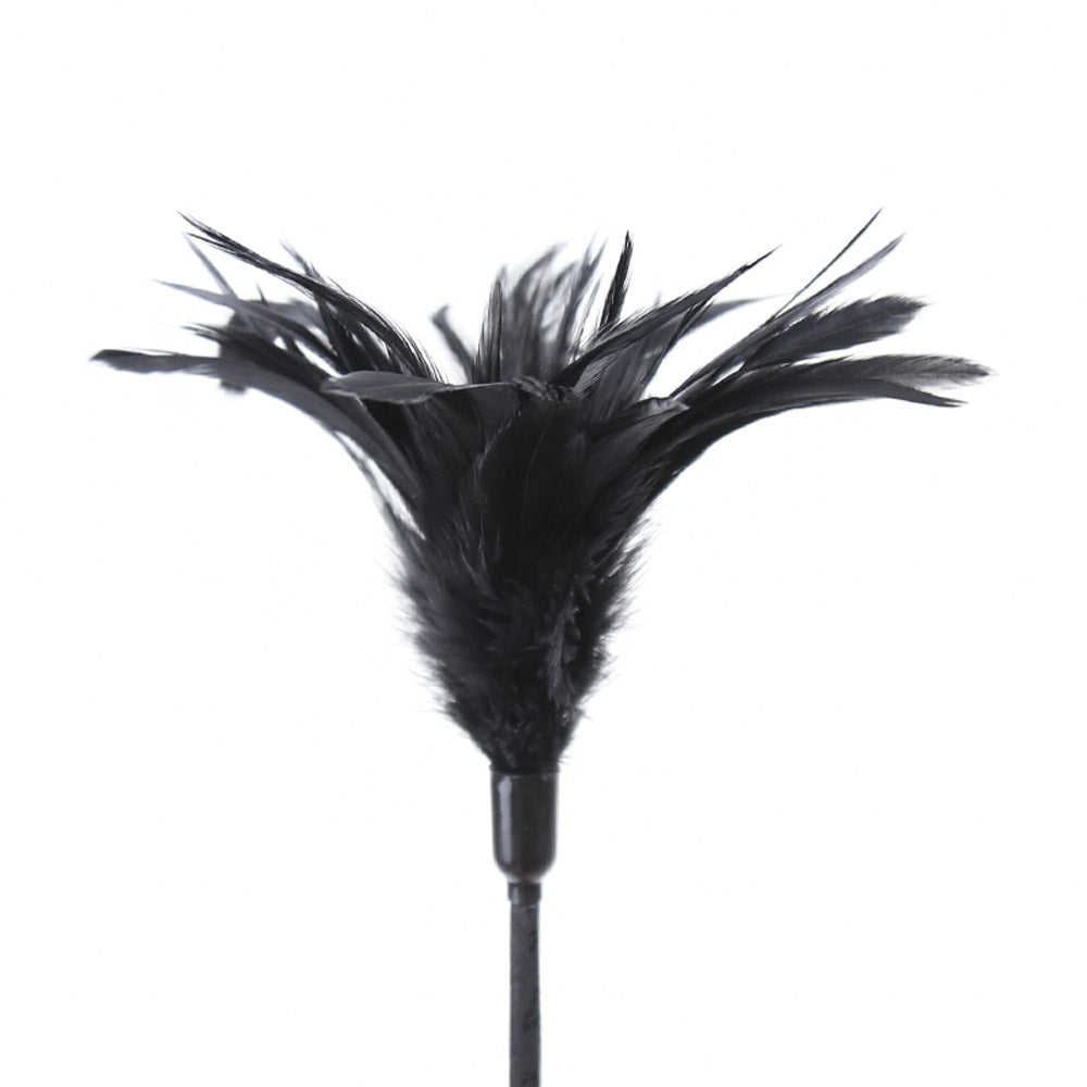 Plumeau Cravache Dentelle et Lacet