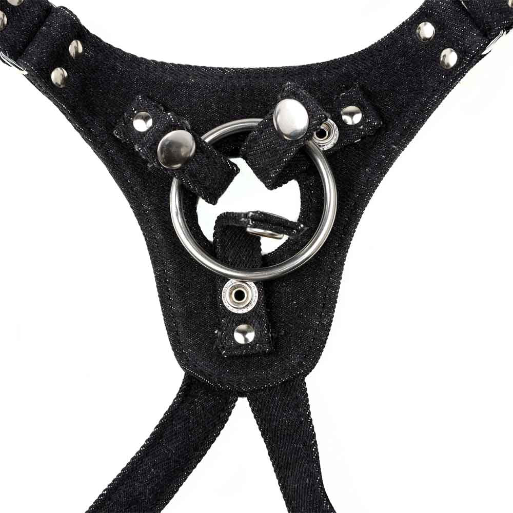 Harnais Jean Epais Deluxe détail plastron