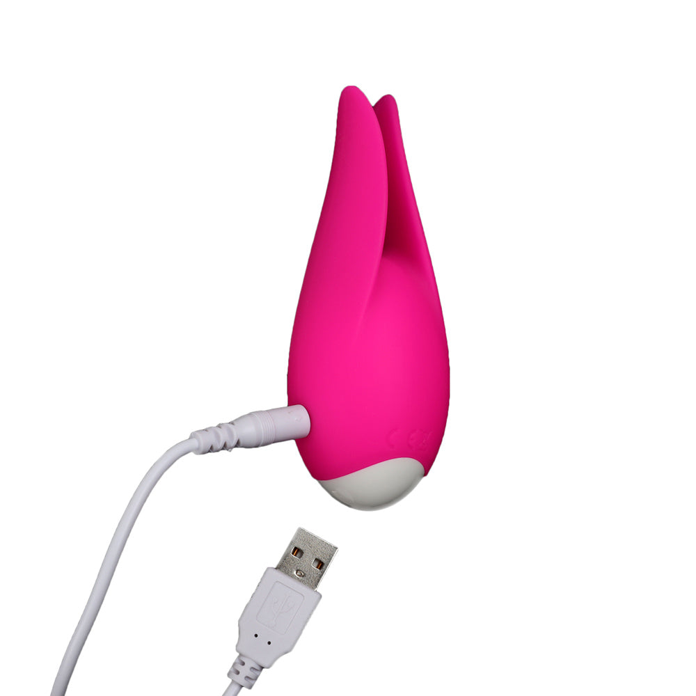 Stimulateur Clitoridien Saisissant