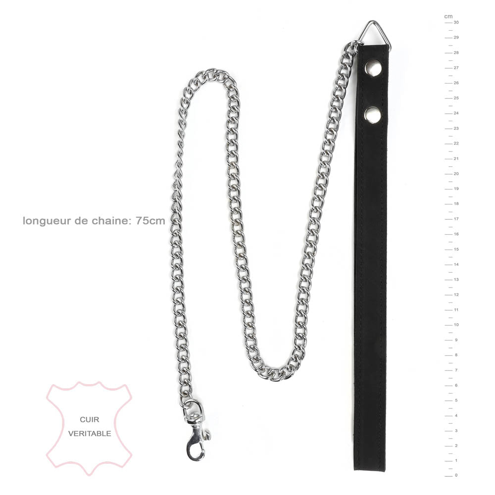 Laisse Cuir & Métal Noir