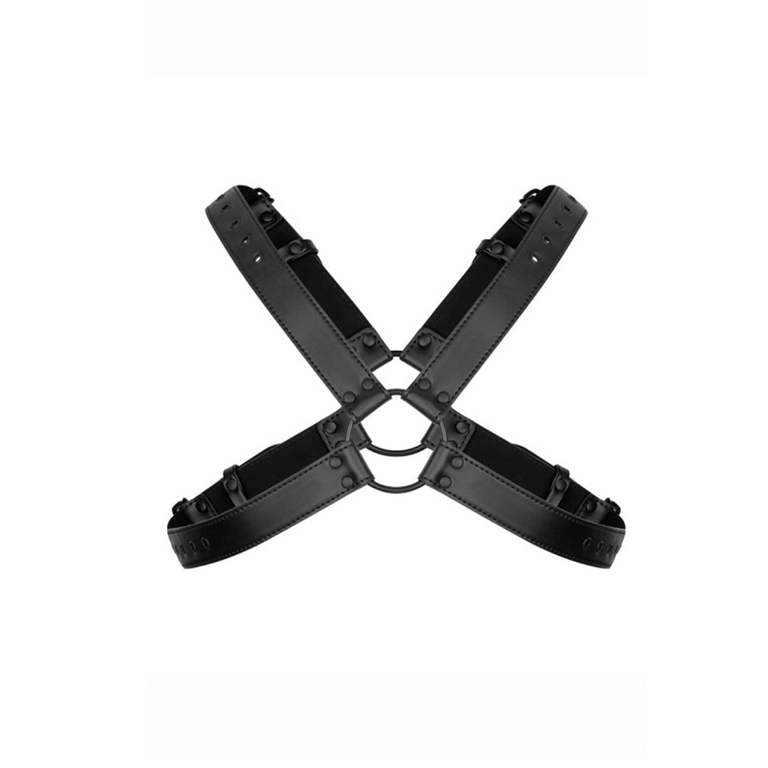 Harnais de bondage Lionel