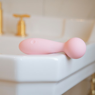 Stimulateur Clitoridien Wand Raison Stimulateur Clitoridien Wand Raison