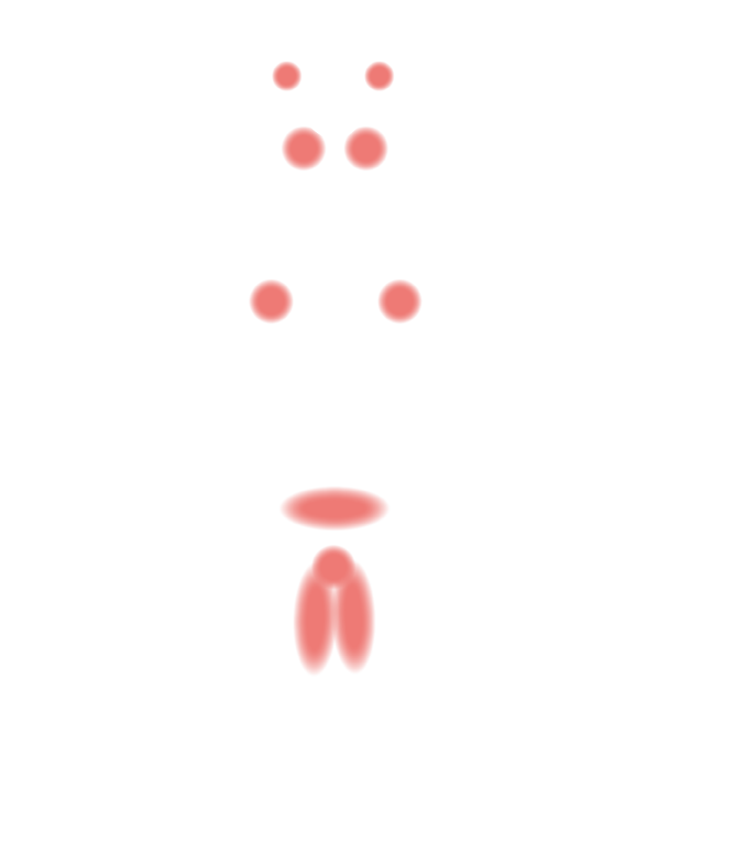 zones erogenes schema