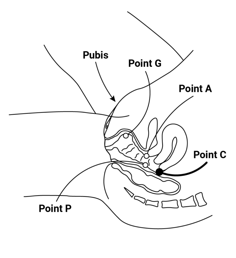 zone érogène point c