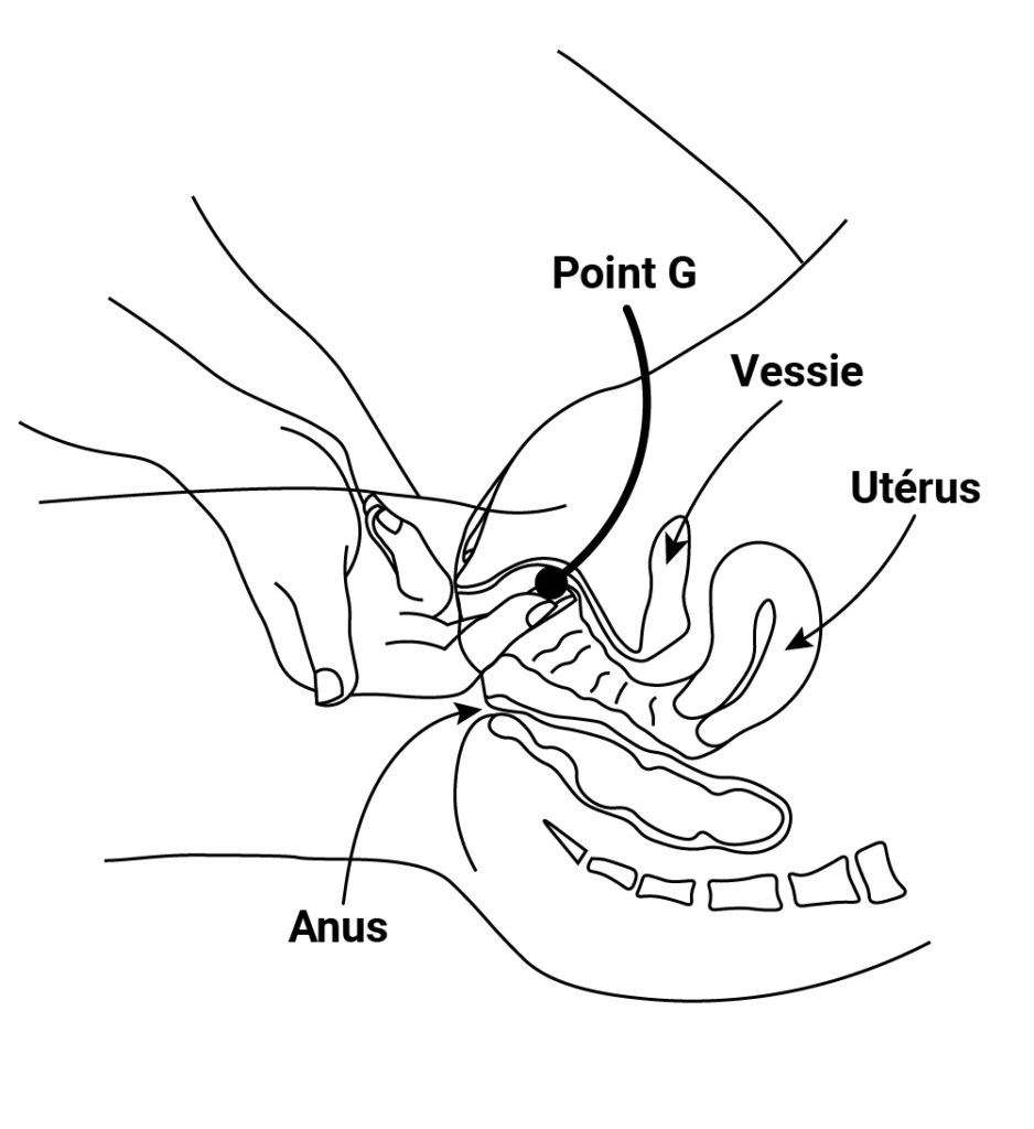 zone érogène point g