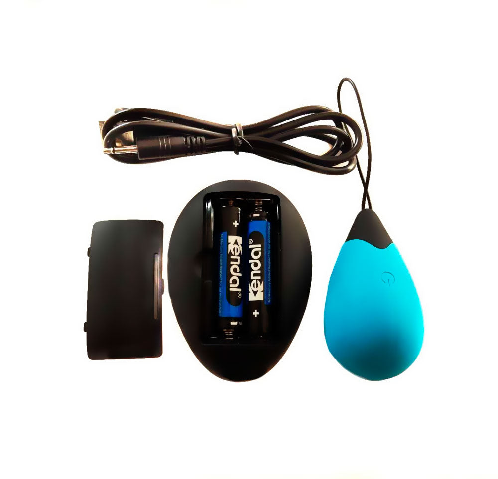 Oeuf vibrant Ecotoys turquoise télécommande et câble de chargement