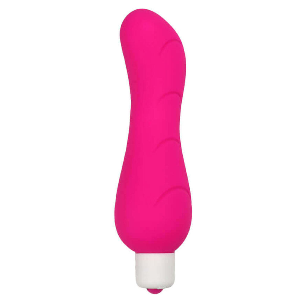 Vibromasseur 2 en 1 Fringant vue 1