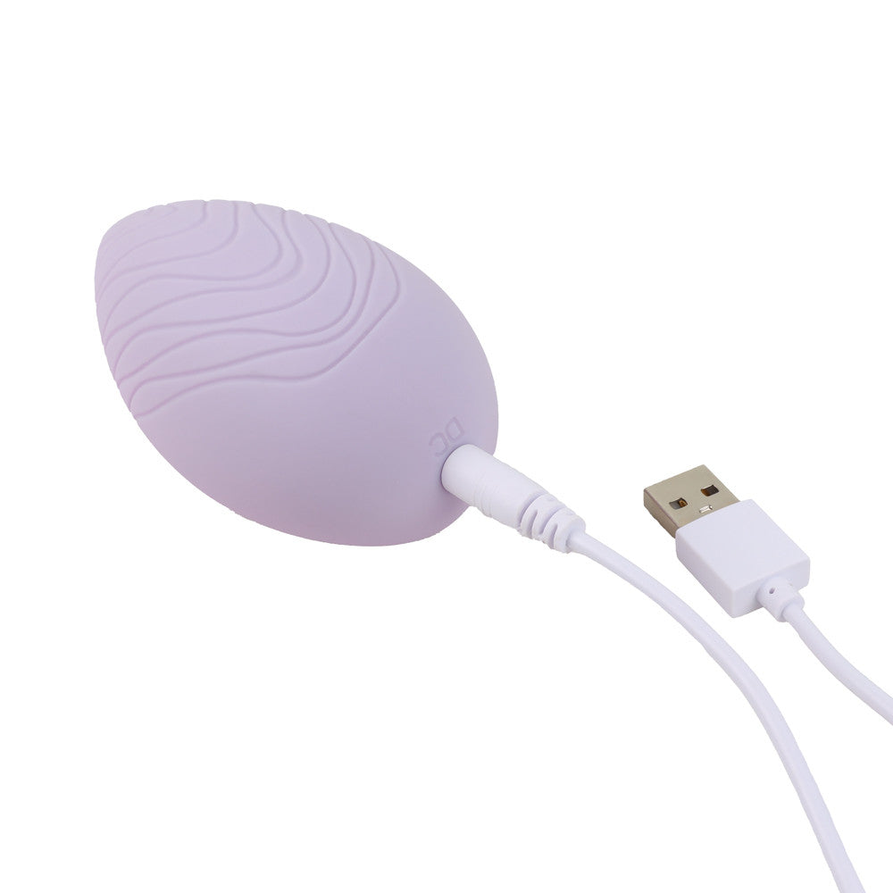 sextoy clitoridien galet silicone lila avec cable de recharge usb