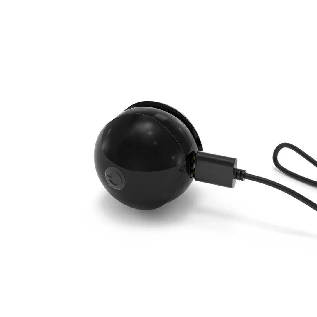 Boules de Geisha Training Balls Kit