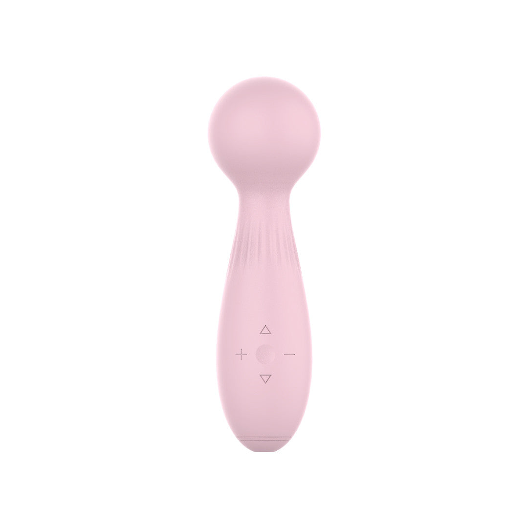 Stimulateur Clitoridien Wand Raison