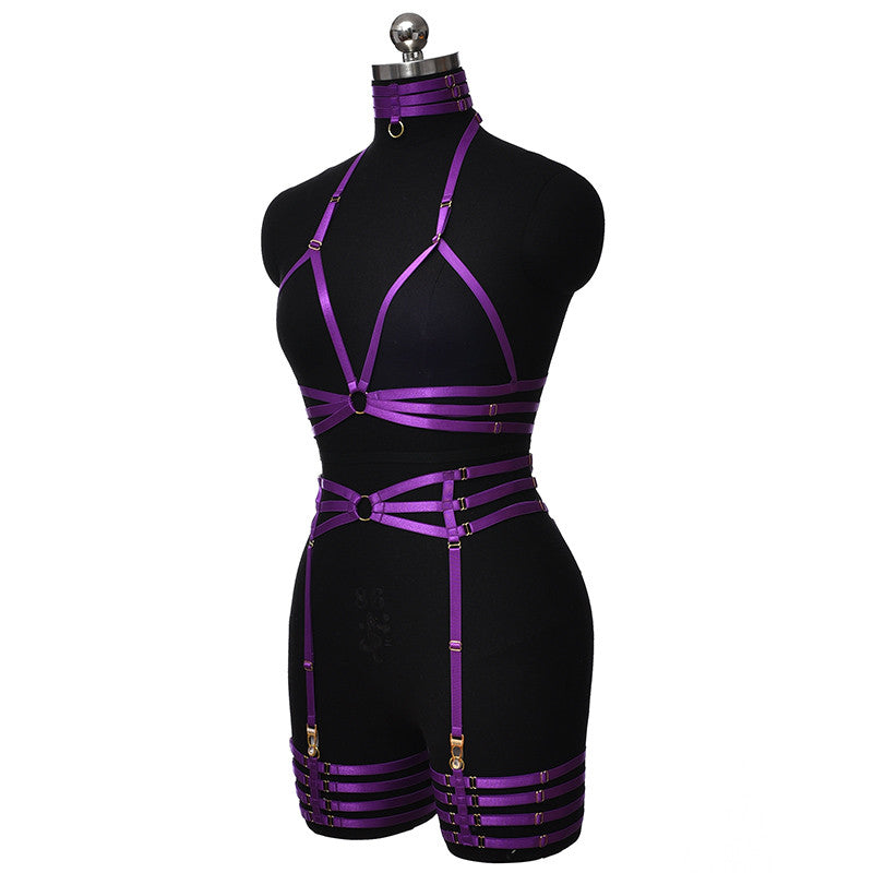Set Harnais Brillant Complet Violet