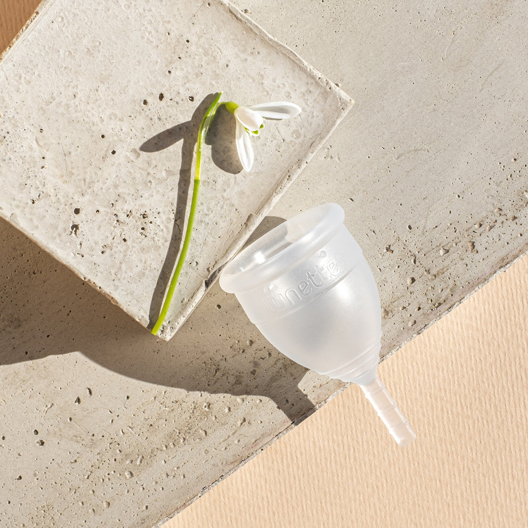 Packaging Cup Menstruelle Transparent