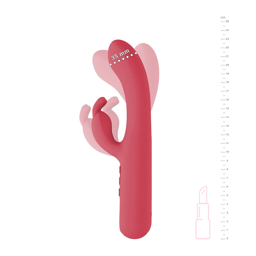 Rabbit Constellation Rouge - Be Happy - dimensions