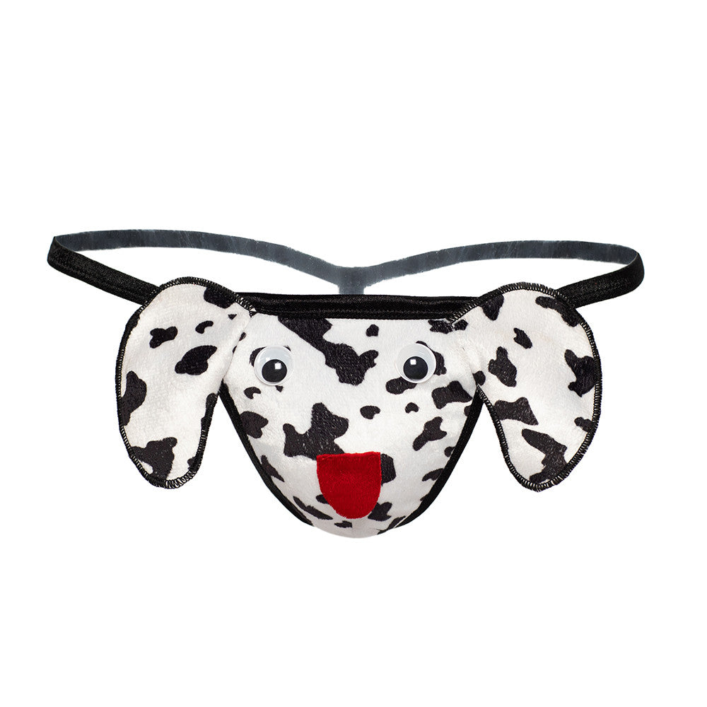 String Fantaisie Dalmatien