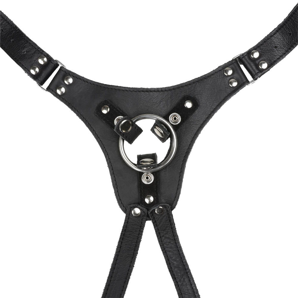 Harnais Gode Ceinture en cuir détail plastron
