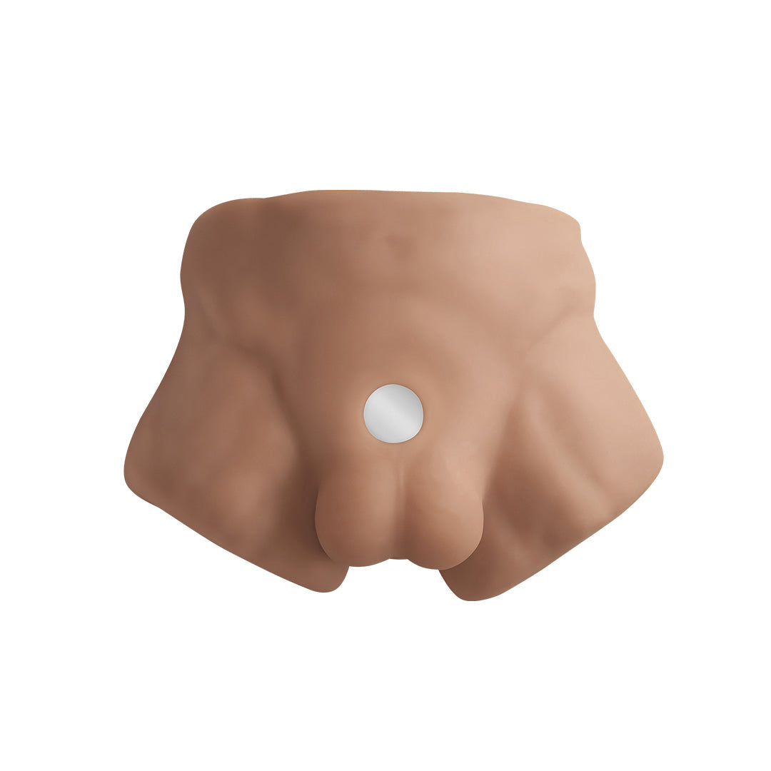 Demi Buste Apollo avec Dildo Interchangeable - Marron - 3