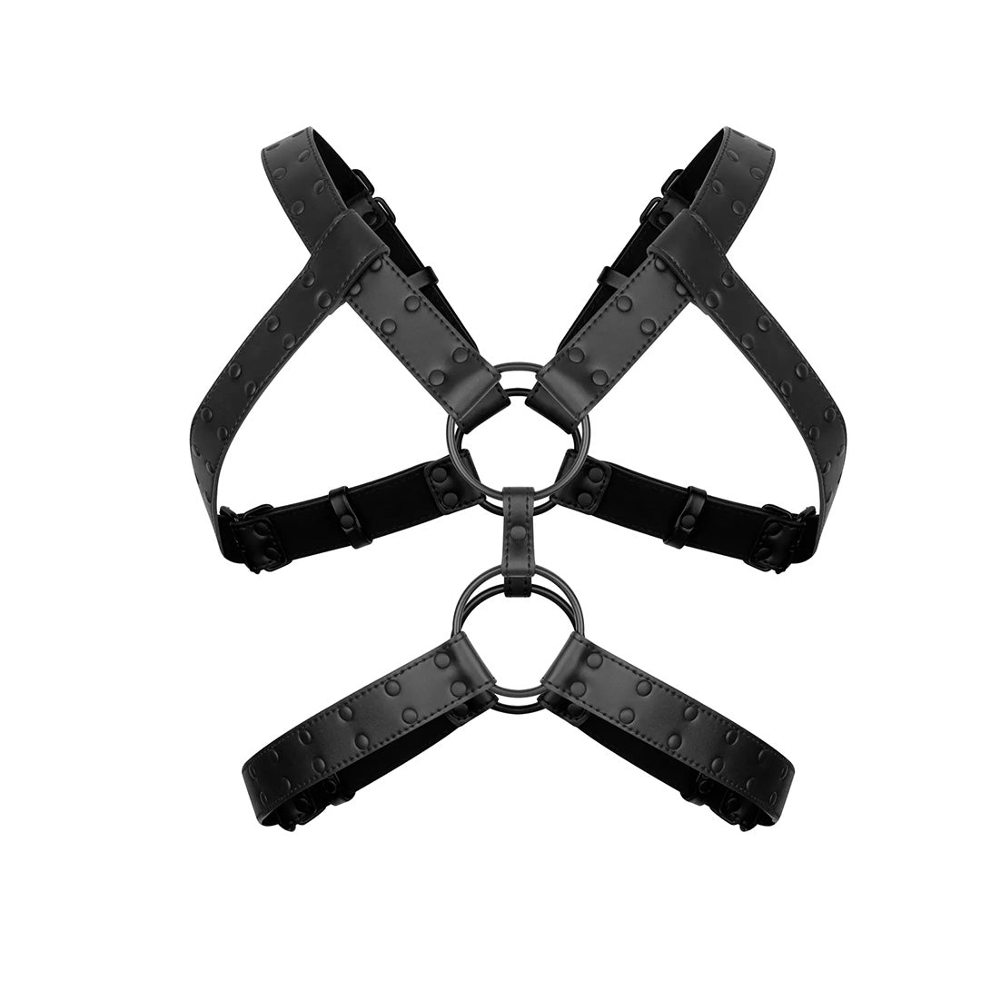 Harnais de bondage Rocco