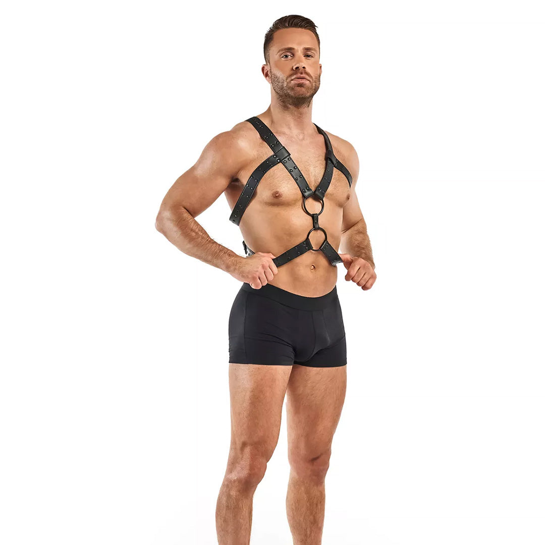 Harnais de bondage Rocco